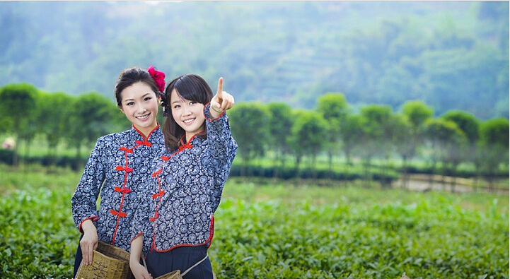 日本老人采樹(shù)葉賺53萬(wàn) 是天價(jià)葉子還是天價(jià)商機(jī)？|餐飲界