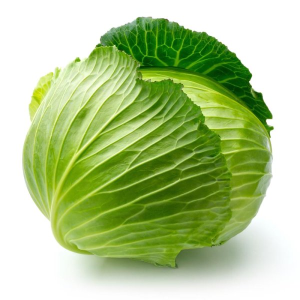 選購優(yōu)質卷心菜