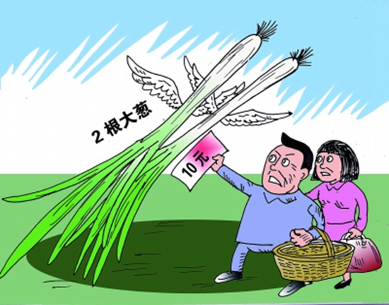 高價(jià)蔥提升成本，菜品價(jià)到底漲不漲愁壞老板