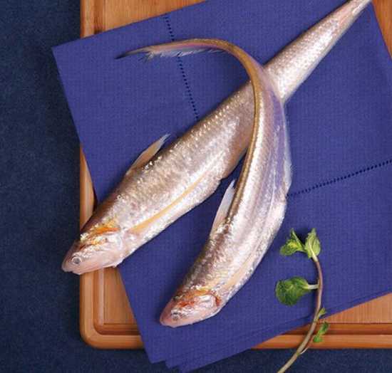 長(zhǎng)江刀魚面臨禁捕危機(jī)，價(jià)格暴漲達(dá)4000元一斤