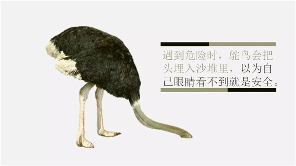 這6個詞，你誤解了任何一個，都能讓你錯過“風(fēng)口”