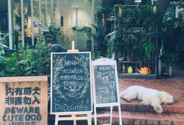 如何開家能賺錢的咖啡館？過來人是這樣算帳的...|餐飲界