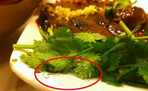 食客在餐廳吃到鋼絲，餐廳被判賠償食客206萬，并罰款686萬