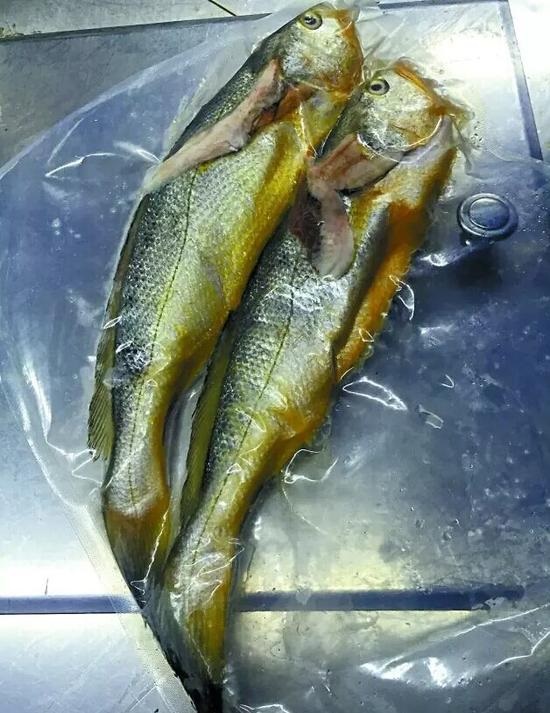 兩條小黃魚賣4628元：沒有菜牌，也沒有價格公示