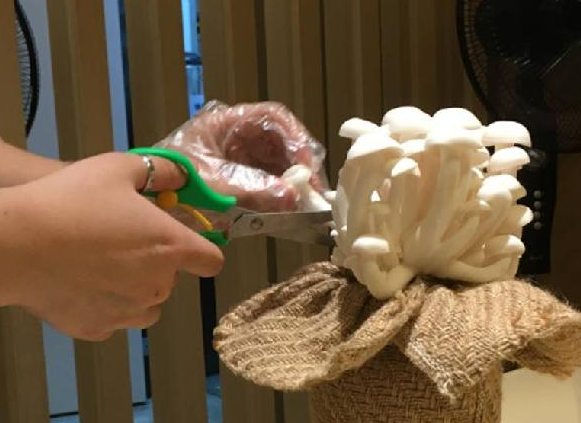 餐飲三巨頭的“爆品”玄機，其實就是4個字|餐飲界