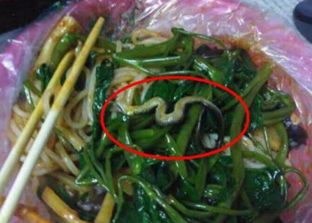 震驚！廣西大學(xué)一螺螄粉店竟然吃出一條蛇！真相是？