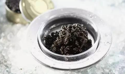 魚子醬到底有多少種？餐飲人快來辨別一下