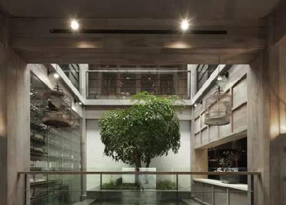 餐廳運(yùn)用上這些植物裝飾，格調(diào)空間立馬不同
