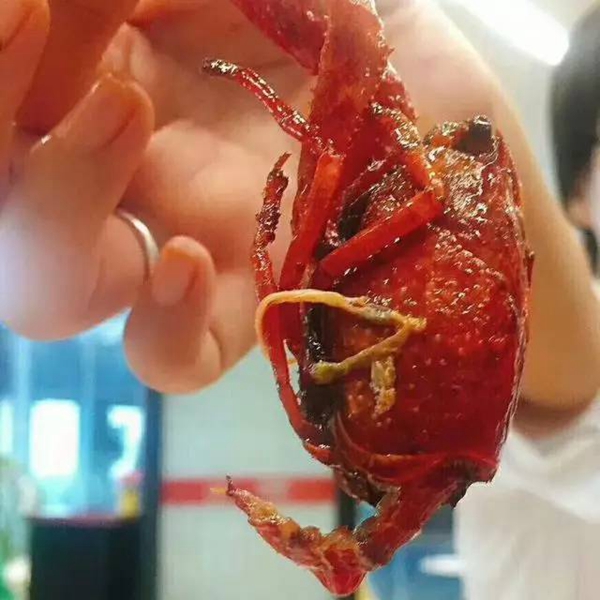 帝都當(dāng)紅小龍蝦測評：誰家的“麻小”在說謊？|餐飲界