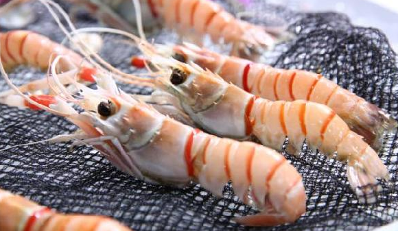 進口食品需求每年遞增15%，餐飲人卻還是找不到渠道？