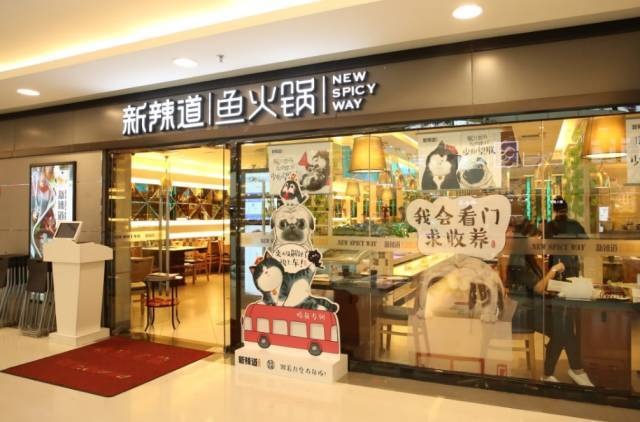破局傳統(tǒng)營銷思維，看新辣道如何跨界&借勢(shì)瘋狂圈粉？ | 案例