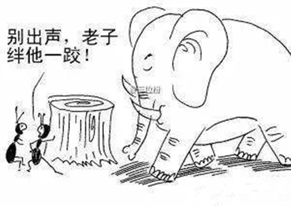 火鍋老板必看：與巴奴共舞的3個(gè)戰(zhàn)略機(jī)會(huì)！