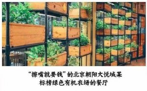 但凡說紙巾要2元的餐廳，我不會去第二次！|餐飲界