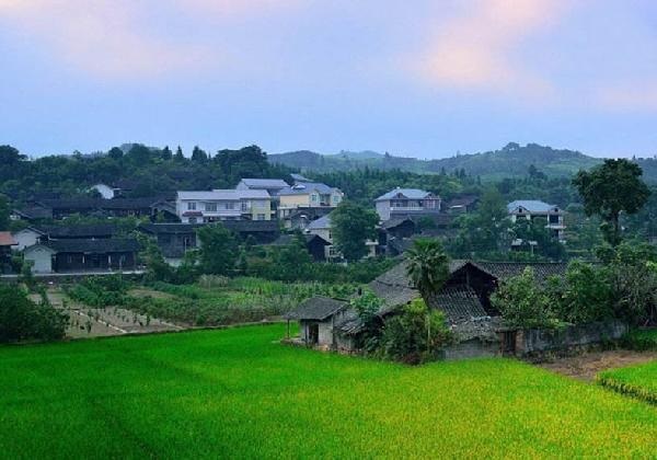 城市水太深，回鄉(xiāng)開餐廳？看完這篇你再做決定……