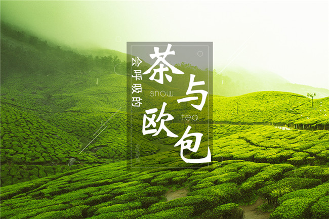 9個(gè)月開(kāi)600家店，漫雪的茶憑啥攻占全國(guó)市場(chǎng)？|餐飲界