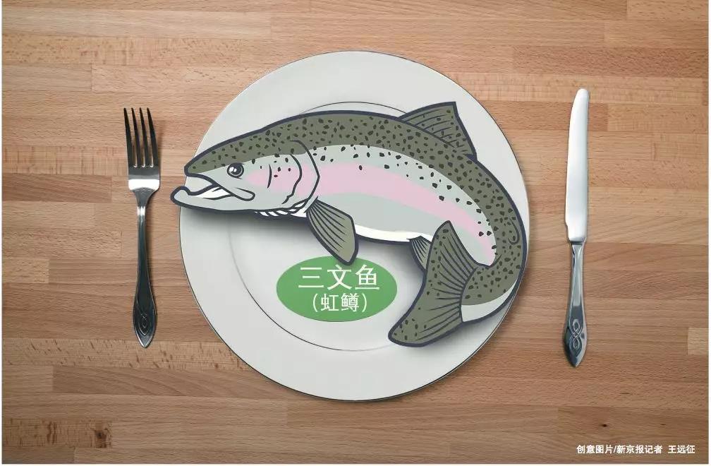 三文魚團體標準“滿月”，多數(shù)商家不認可虹鱒是三文魚|餐飲界