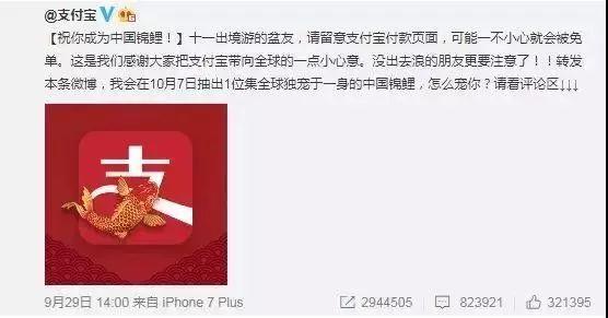 “錦鯉”火了，為什么我不建議跟風(fēng)蹭這個(gè)大熱點(diǎn)？