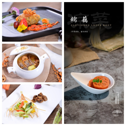 素食革命：如何通過純素飲食打造健康身體？美素軒為你揭秘|餐飲界