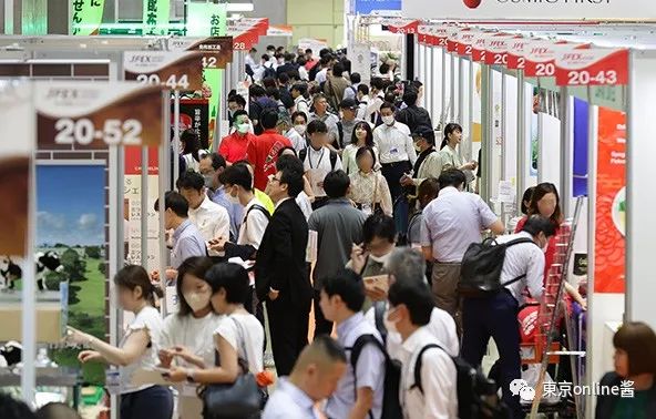 江西天凱樂(lè)首秀日本國(guó)際食品展，椰子灰冰淇淋榮獲JFEX AWARDS金獎(jiǎng)！