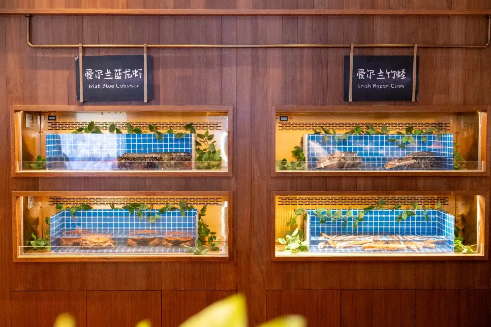 愛爾蘭農(nóng)業(yè)、食品及海事部部長帶團訪華并走訪上海的“愛爾蘭海鮮集市”