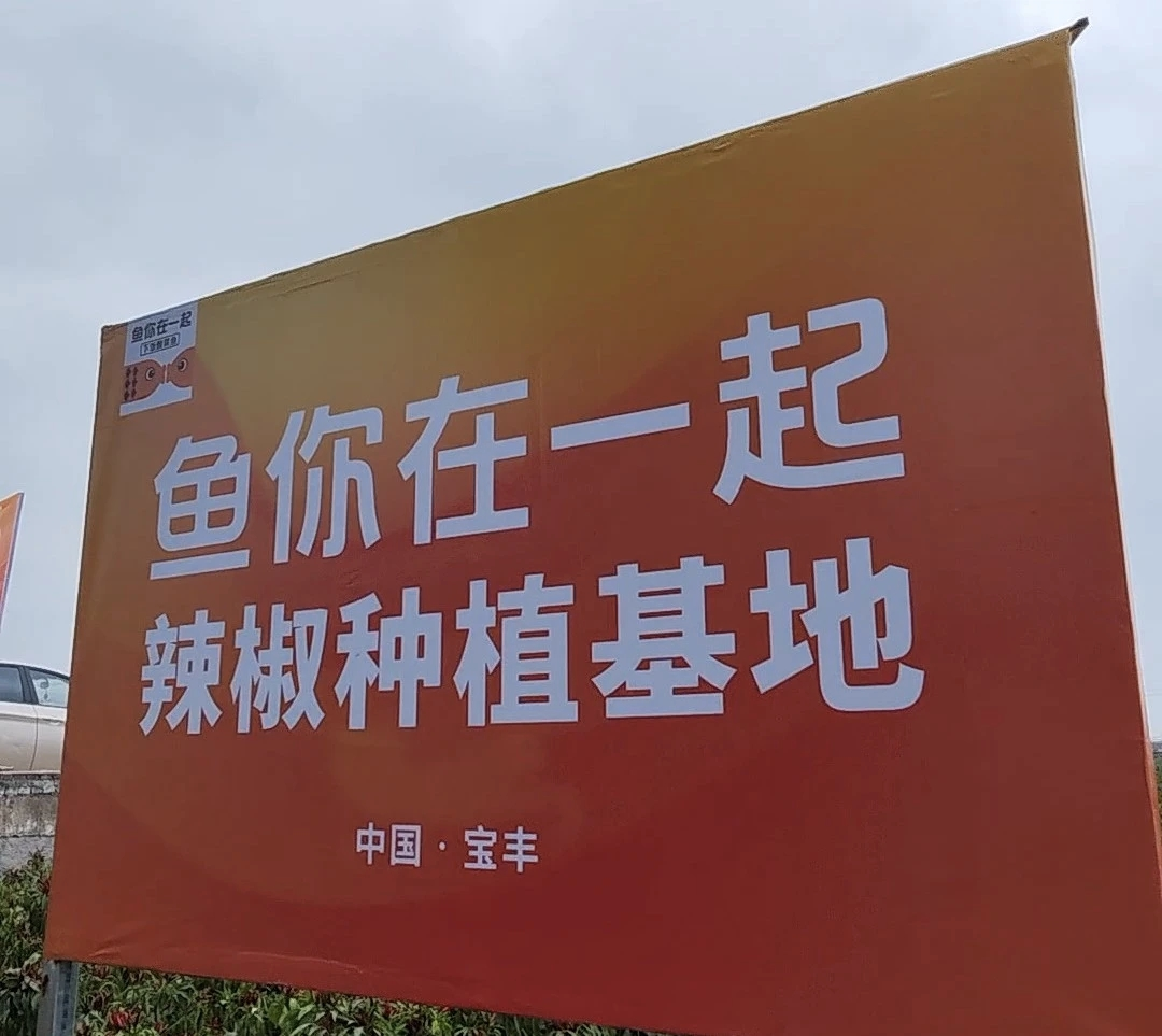 魚你在一起榮獲兩項(xiàng)大獎，展現(xiàn)新質(zhì)生產(chǎn)力下的雇主品牌變革|餐飲界